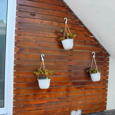 Konukevi Vintage Place - Azorean