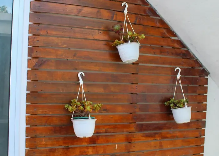 ゲストハウス Vintage Place - Azorean